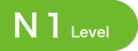 N1level